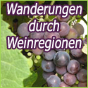 Wanderungen durch Weinregionen