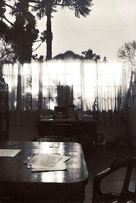 Photo: Milan David