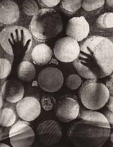 In the Woods, photo: Eva Fuka