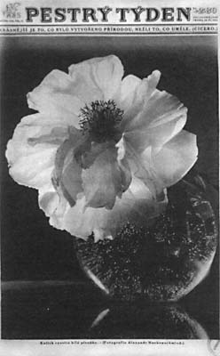 'Semaine variée'