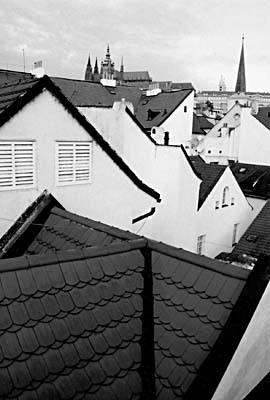Photo: Jan Janota