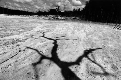 Photo: Antonín Kratochvíl