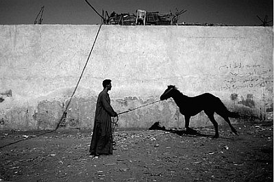 Egypte