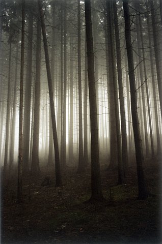 Jitka Hanzlová: 'Licht findend' (Foto: www.jirisvestka.com)