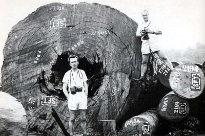 Abidžan v pobřeží slonoviny - leden 1974, foto: www.uhul.cz