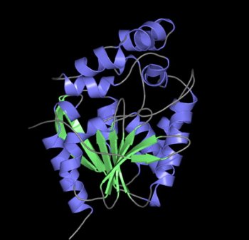 Mustard Gas Structure