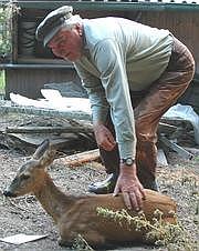 Jaroslav Zdrha with his fawn Betty, photo: Patrik Biskup, Pravo, 11.8.2004