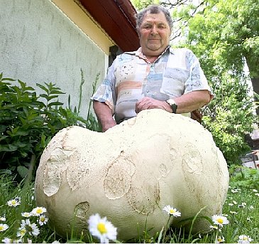František Valouch, photo: Petr Šimr, Deník