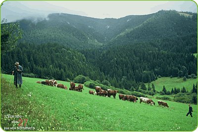 Slovaquie, photo: www.europe27.eu