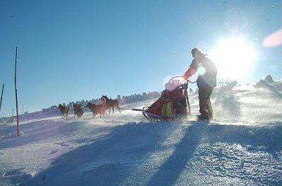 Photo: www.huskies.cz