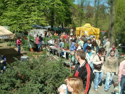Foto: www.flora-ol.cz