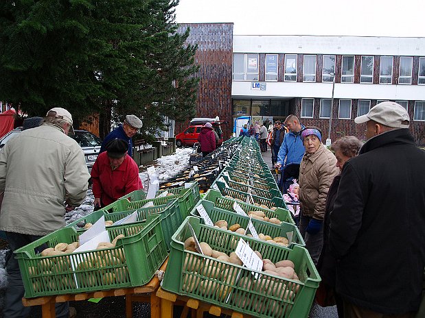 Foto: Archiv des Zentralen Kartoffelbau-Verbands