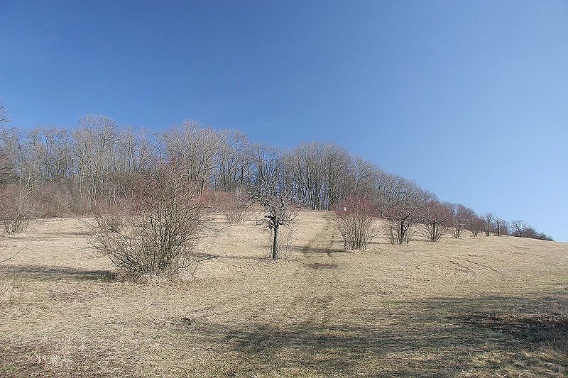 La colline de Chotuc
