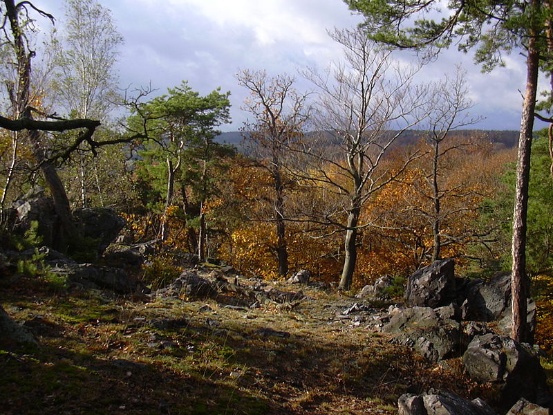 Foto: www.krivoklatsko. ochranaprirody.cz
