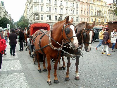 Ilustrační foto