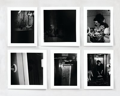 Zbigniew Libera - Domestic performance