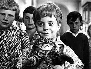 Michael Wellner-Pospisil dans le film 'Un jour un chat'