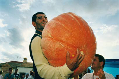 Foto: Cristóbal Hara