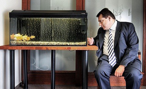 Foto: Jan Zátorský, Czech Press Photo