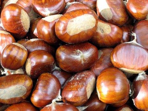 Castañas