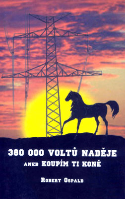 '380.000 Volt Hoffnung' von Robert Ospald