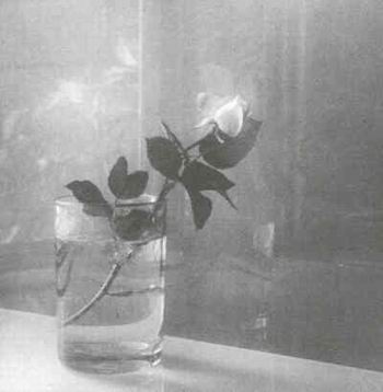 Fotografie von Josef Sudek