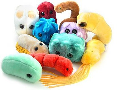 Photo: www.giantmicrobes.cz