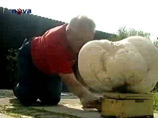 Mr. Josef Partac is traying to weigh his mushroom, photo: Nova TV