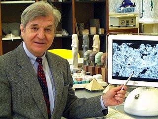 Joseph Davidovits