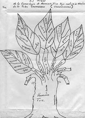 Árbol genealógico de la familia de Herminia