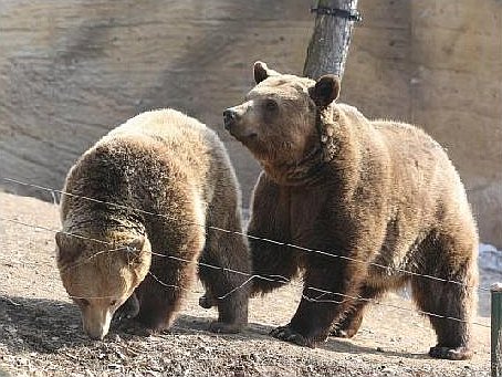 Eliška s Honzíkem z plzeňské zoo, foto: www.denik.cz/Vlastimil Leška (10.3.2010)