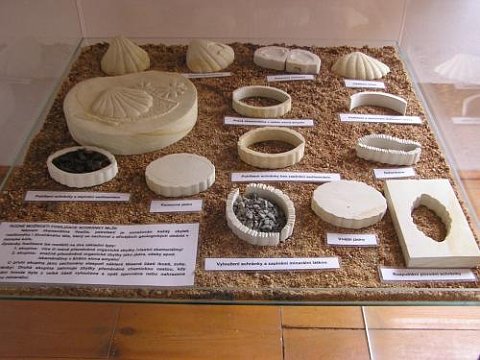 Le musée de Joachim Barrande à Skryje
