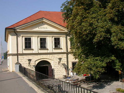 Pop Museum