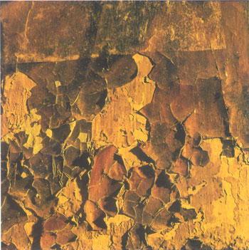 The state of the paintings before restoration