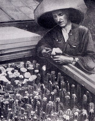 Alberto Vojtěch Frič