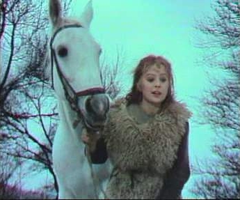 Three Hazelnuts for Cinderella