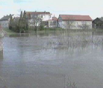 Flood