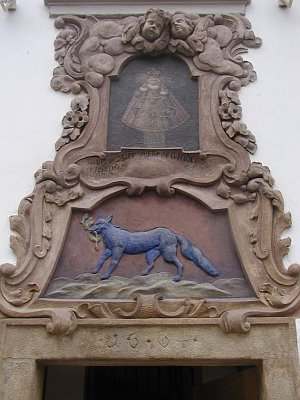 House of the blue fox