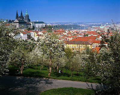 Praga
