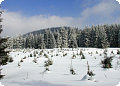 Las Montañas Krušné
