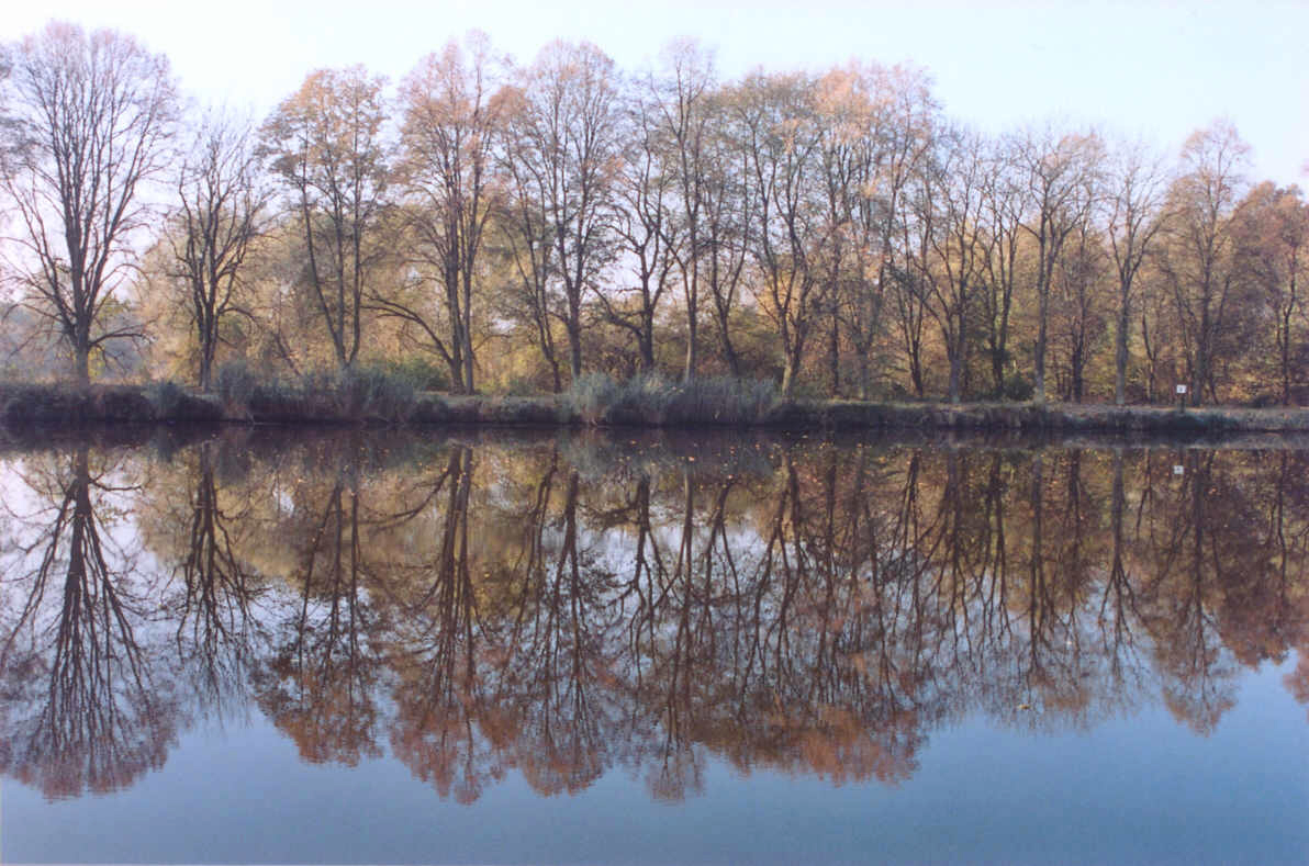 Elbe