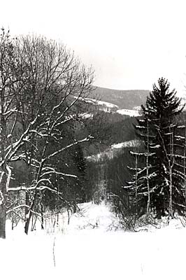 Böhmerwald
