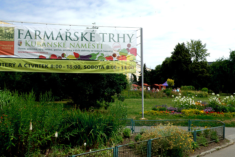 Bauernmarkt auf dem Kuba-Platz (Foto: Felix Neumann)