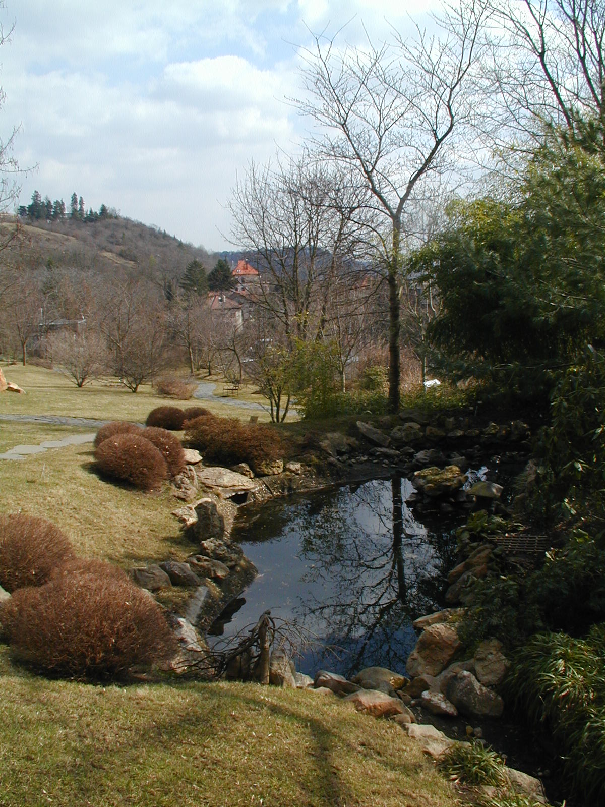 Kleiner See im Japanischen Garten