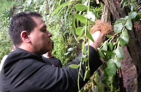 El embajador de Venezuela Víctor Julián Hernández León, foto: autora