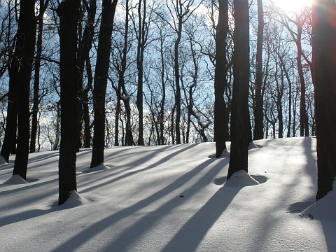Photo: Zdenka Gregorová