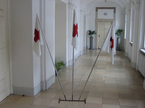 Фото: Дима Лычёв