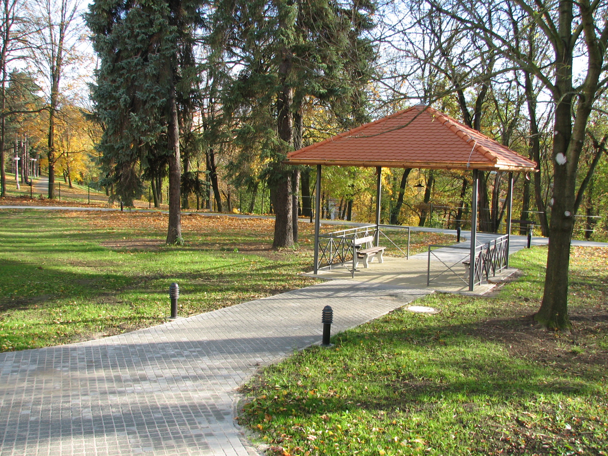 Radio Prag Psychiatrische Heilanstalt in Prag Mühsamer