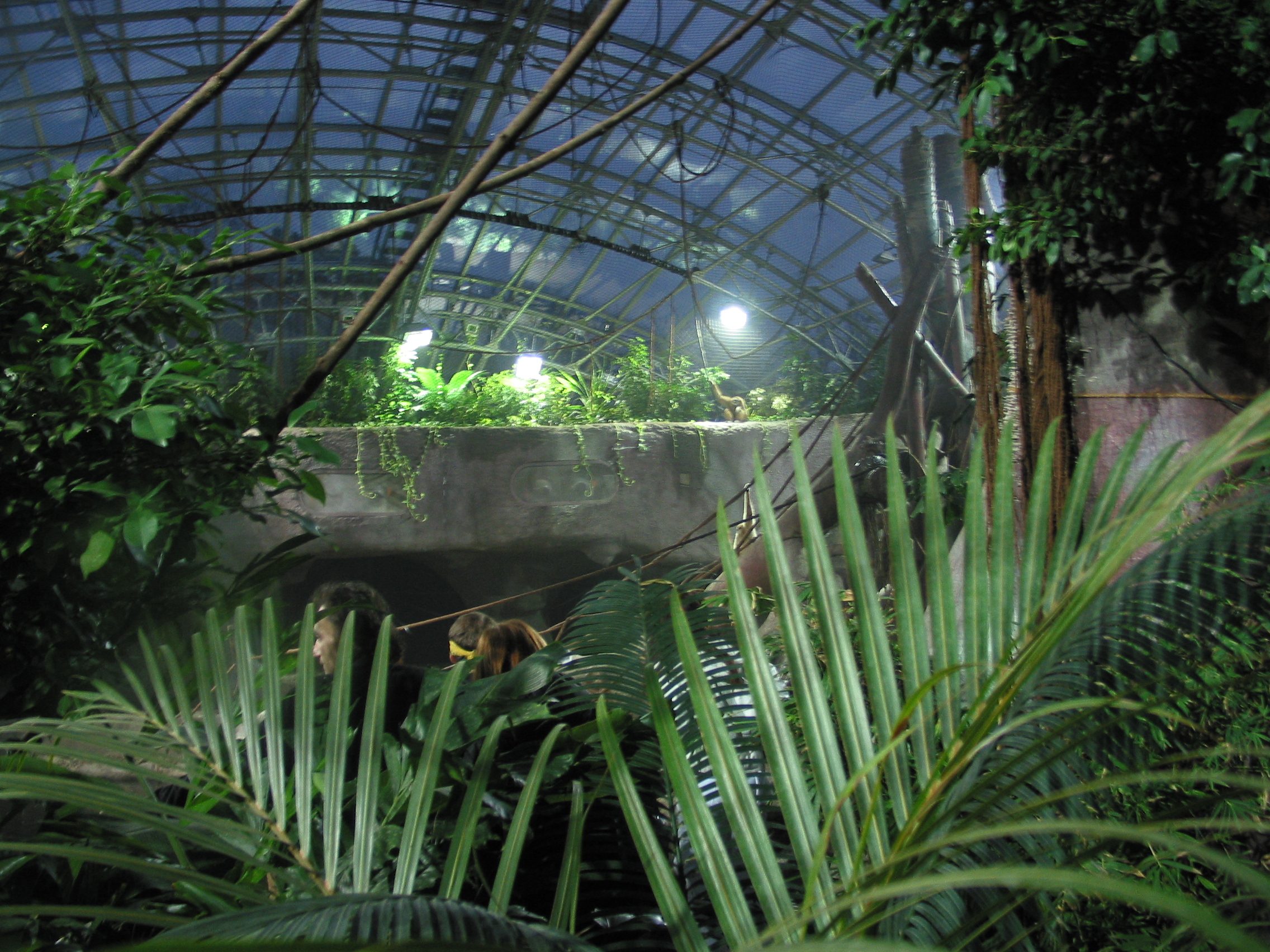 Nighttime at the Zoo Radio Prague