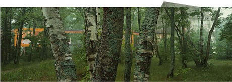 Le projet de restaurant écologique à Beroun